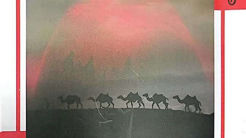 كتاب سأترك للصحراء
