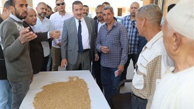 غلق 5 منشآت لتصنيع وخلط الأعلاف بالمنوفية