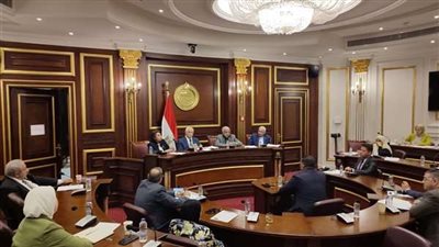 غدا..مجلس الشيوخ يناقش استراتيجية مستقبل قطاع الدواء