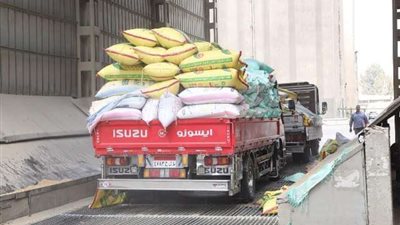 ضبط 601 طن قمح محلى مهرب بالدقهلية