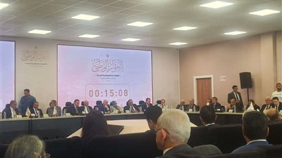 تيسير مطر: نحتاج لأحزاب فاعلة..ويجب وضع 