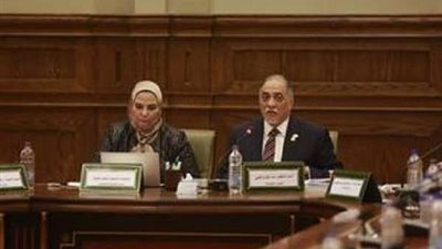 التضامن الاجتماعي: نخدم أكثر من 40 مليون مواطن مصري