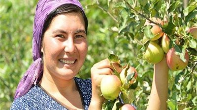 «التضامن»: إطلاق برنامج تدريب الرائدات الريفيات غدا