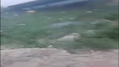 شاهد.. إصابة 58 عامل في تصادم حافلتين بطريق الإسماعيلية الزقازيق الزراعي