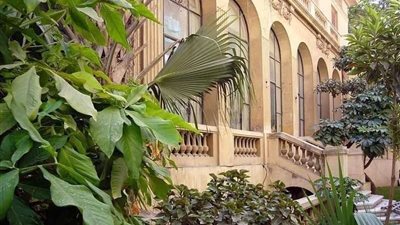 مثقفو الإسكندرية يصرخون: 