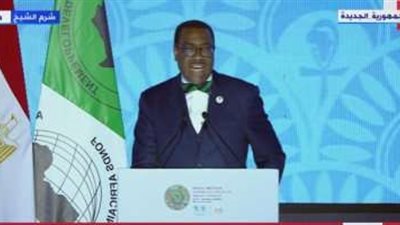 التنمية الأفريقي: الحضور الكبير للاجتماعات بشرم الشيخ يؤكد الصداقة مع مصر