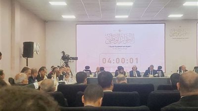 يسري الشرقاوي: الاستقرار السياسي في مصر يسمح بمزيد من الاستثمارات