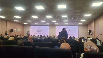 ممثلة المصري الديمقراطي : علينا معالجة مشكلات الصناعات عالية التكنولوجيا