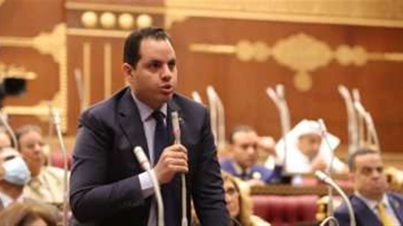 النائب أحمد فوزي