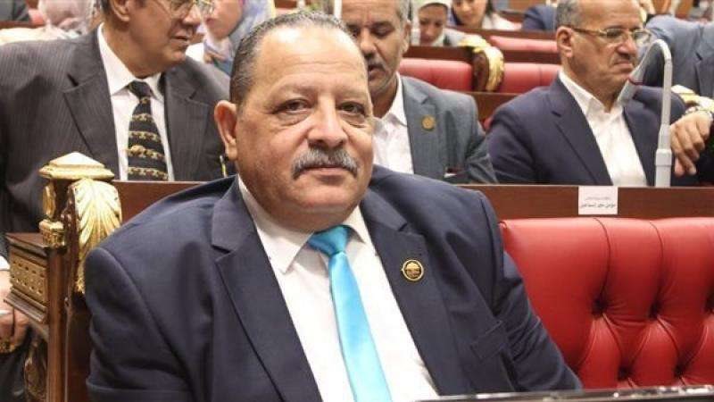 النائب أحمد شعبان