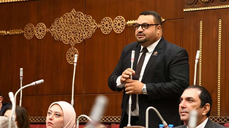 النائب أحمد قناوي