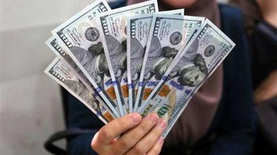 مبادرة مقاطعة الدولار.. ماذا يمكن أن تحقق للاقتصاد؟