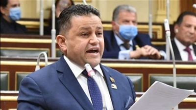 بعد هروب «بغدودة».. برلماني يطالب «الرياضة» بتحمل الضرائب عن أبطال الألعاب الفردية