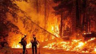 طالبة تحرق سكنًا مدرسيًا وتقتل 19 من زميلاته لهذا السبب