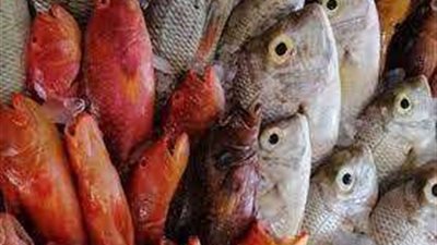 منع صيد الأسماك في البحر الأحمر لهذا السبب «فيديو»