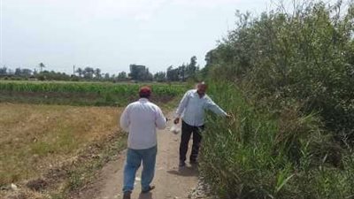 زراعة الشرقية تتابع الحملة القومية لمكافحة القوارض بقرى المحافظة