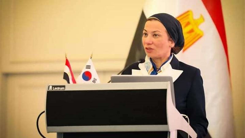 الدكتورة ياسمين فؤاد