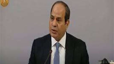 أستاذة اقتصاد: تشجيع الرئيس السيسي للمستثمر المحلي والأجنبي يمنحنا فرصة كبيرة لتخطي الأزمات