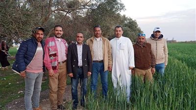 آثار الإسكندرية: إنجاز 80% من مشروع خفض المياه الجوفية بـ