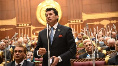 وزير الرياضة: إحالة اتحاد المصارعة للنيابة