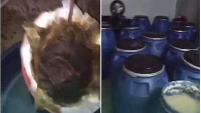 تفاصيل العثور على موقع لتصنيع الخمور بالمدينة المنورة