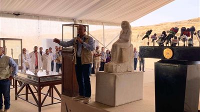 «الأعلى للآثار» يكشف عن مصير محتويات الكشف الأثري الجديد بسقارة