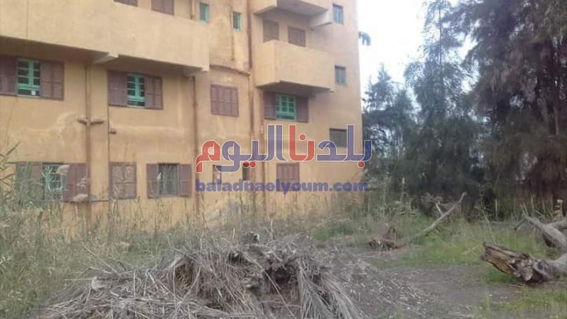 بلدنا اليوم