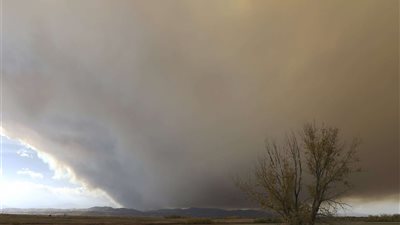 تحذير شديد اللهجة لمرضى الحساسية والجيوب الأنفية من طقس الغد في هذه الأماكن