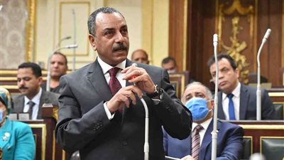 إيهاب الطماوي: عقدنا كل لجان المحور السياسي بالحوار الوطني الأسبوعين الماضيين