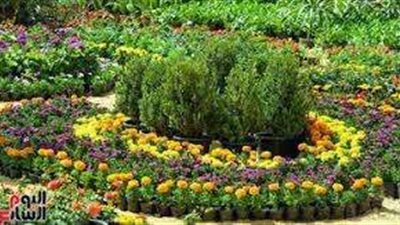 وزارة الزراعة: 200 عارض بمعرض زهور الربيع في هذا العام