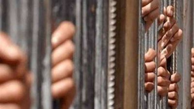 القوة والبلطجة تقود عاطل للسجن 5 سنوات بصفط اللبن