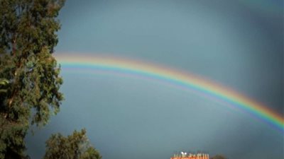 بعد ظهوره.. تعرف على رأي العلماء بمقولة اسم 