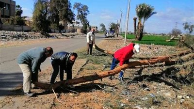 سقوط 10 أشجار بسبب الطقس السيئ بقها