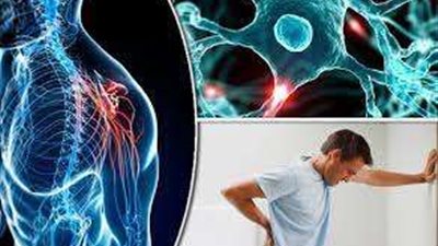 أستاذ مخ وأعصاب: التصلب المتعدد مرض مناعي