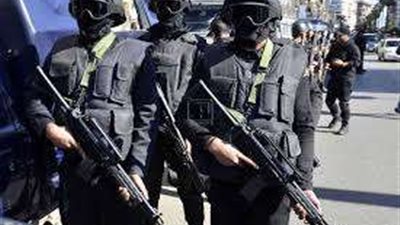 ذبح حصان في محل جزارة شهير بالطالبية.. تفاصيل