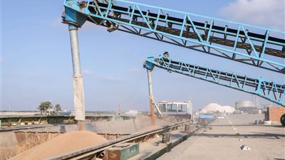 ميناء دمياط يستقبل 31 سفينة خلال 24 ساعة ماضية