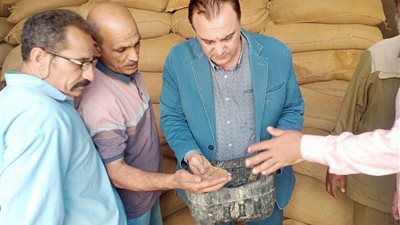 ضبط 42 طنًا من محصول القمح بهدف الاحتكار  بسمالوط في المنيا