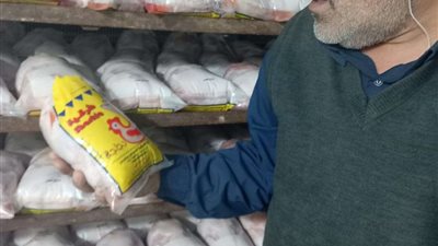 ضبط 3 أطنان دواجن مجمدة فاسدة بالشرقية