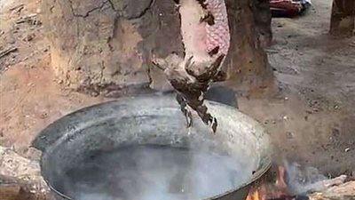 فيروس أفريقي جديد يثير الزعر في نيجيريا.. تفاصيل