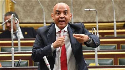 برلماني: المصريين بالخارج سيكون لهم دور كبير في تجاوز الأزمة الاقتصادية