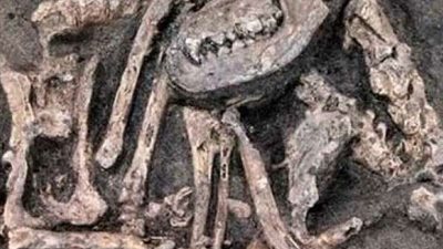 في طريقها لصالون تجميلي.. العثور على رفات مراهقة بعد 7 سنوات