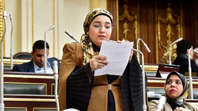 برلمانية:  الاتجار في النقد الأجنبي بالسوق السوداء يؤثر بالسلب على الاقتصاد