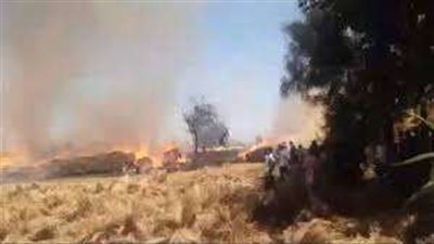 الحماية المدنية تسيطر على حريق شونه كتان بالغربية