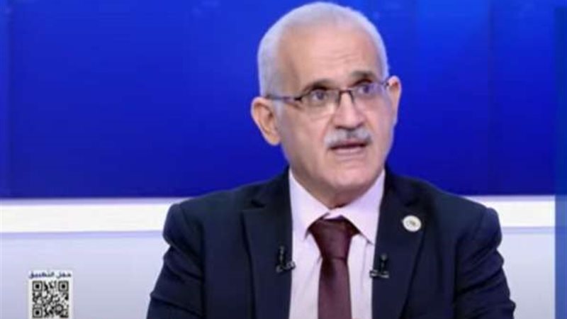 هشام العناني