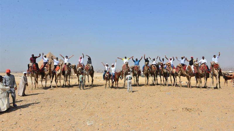 جلسات ورشة العمل