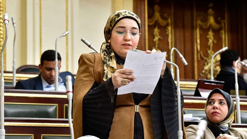 النائبة دعاء عريبي