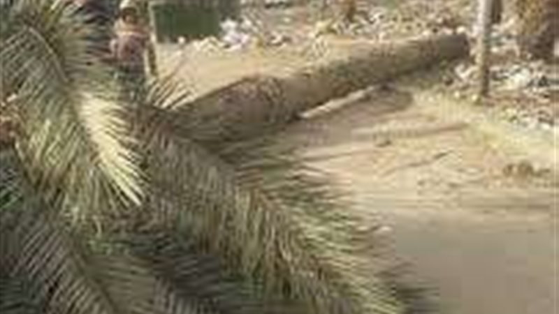 مصرع عامل