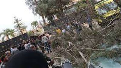 مصرع مسن وإصابة نجلة إثر سقوط شجرة على منزلهم بالمنوفية