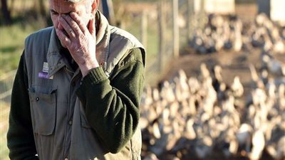 يصيب البشر.. الصحة العالمية تكشف عن أول دولة يظهر بها فيروس H5N8