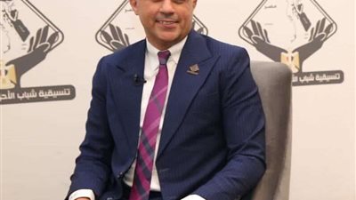 أحمد فتحي مقرر لجنة الشباب لـ «صالون التنسيقية»: جلسات الحوار الوطني تسلط الضوء على تحديات الشباب